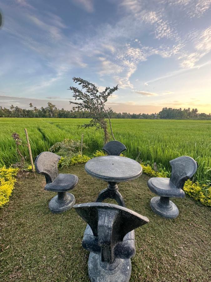 Viveka Inn Guest And Yala Safari Тиссамахарама Экстерьер фото